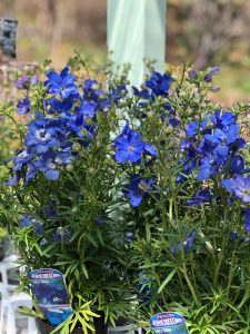 ミヨシグループ Miyoshi Group Co Ltd