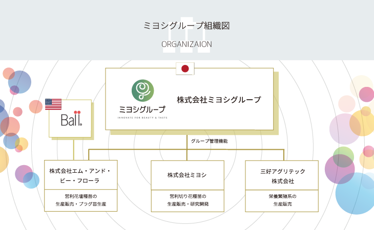 ミヨシグループ組織図