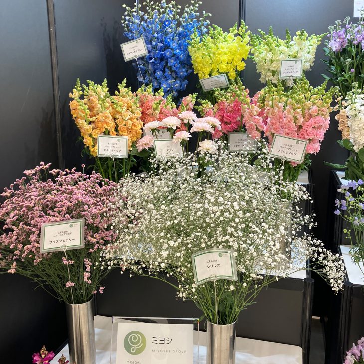 ミヨシのブースの様子